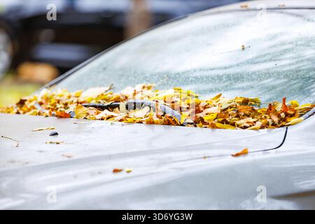 Gouttière de pare-brise remplie de feuilles tombées. Composition à faible angle axée sur la gouttière du pare-brise de la voiture remplie de feuilles jaunes, racontant un calme Banque D'Images