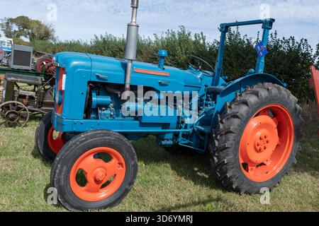 Dorchester.Dorset.United Kingdom.September 6th 2025.A restauré Fordson Super Major de 1961 est exposé au spectacle du comté de Dorset Banque D'Images