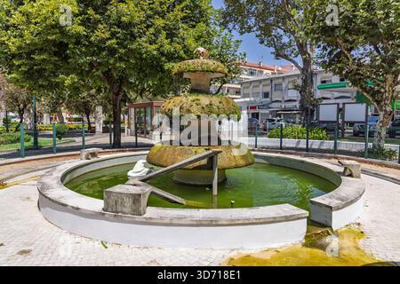 Une fontaine traditionnelle en pierre couverte de mousse dans un parc public à Porto de MOS, Portugal. Caractéristique de l'eau dans un bassin circulaire par une journée ensoleillée. Banque D'Images