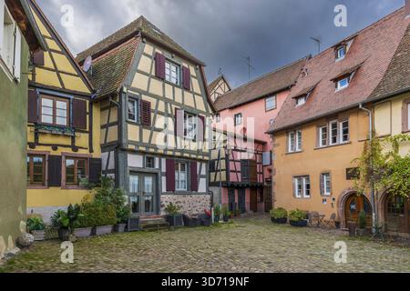 Maisons traditionnelles à colombages, Riquewihr, Haut-Rhin, Grand est, France Banque D'Images