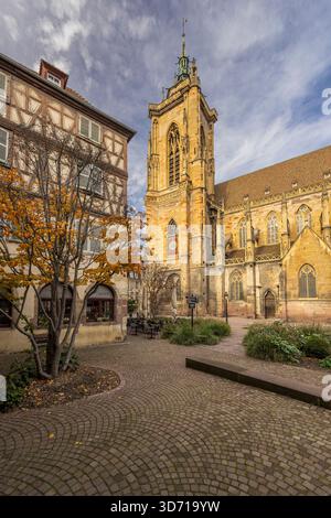 Église Saint-Martin, Colmar, Haut-Rhin, Grand est, France Banque D'Images