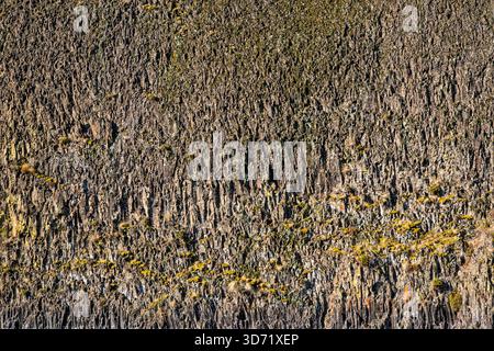 Affleurements de roches basaltiques sur South Fork Crooked River, Crooked River Natl Wild et Scenic River, au sud de Prineville, région de High Desert, Oregon, États-Unis Banque D'Images