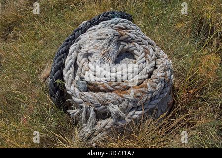 Bobine d'épaisse corde nautique ou d'amarrage altérée, également connue sous le nom de Hawser couché dans l'herbe, Vilsandi, Saaremaa, Estonie. Banque D'Images