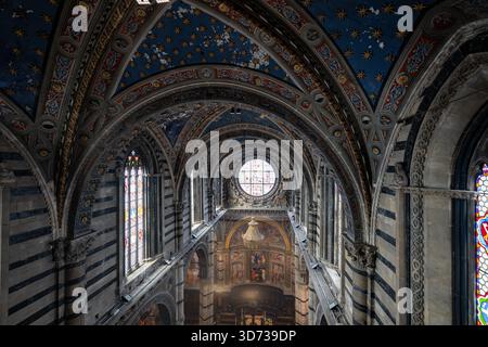 Sienne, Italie - 19 juillet 2025 : intérieur gothique complexe de la cathédrale de Sienne avec plafonds voûtés étoilés et colonnes de marbre rayées. Remarquable pour vibrant Banque D'Images
