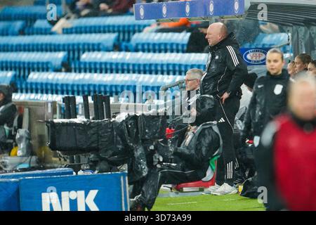 Oslo, Norvège. 23 novembre 2025. Oslo 20251123. Lors du match de football NM entre Rosenborg et Vålerenga au stade Ullevål. Photo : Thomas Fure/NTB ce texte est traduit automatiquement crédit : NTB/Alamy Live News crédit : NTB/Alamy Live News Banque D'Images