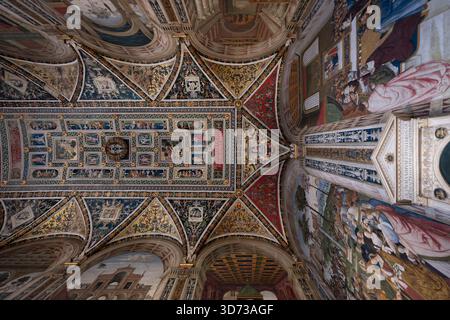 Sienne, Italie - 19 juillet 2025 : la bibliothèque Piccolomini de Sienne, Italie, présente des fresques Renaissance aux couleurs vives et aux motifs complexes. Banque D'Images