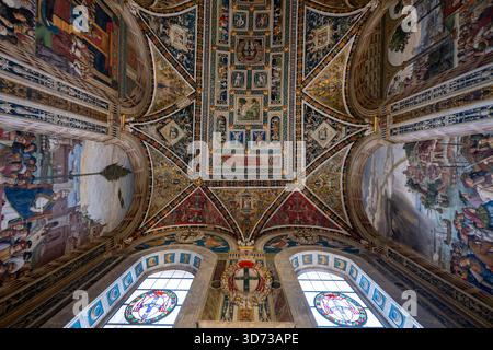 Sienne, Italie - 19 juillet 2025 : le plafond de la bibliothèque Piccolomini à Sienne présente des fresques Renaissance aux couleurs vives et aux motifs complexes. Banque D'Images