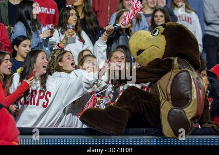College Park, États-Unis. 22 novembre 2025. College Park, MD : la mascotte des Terrapins du Maryland monte dans les gradins avec des fans lors d'un match de la NCAA contre les Michigan Wolverines le samedi 22 novembre 2025 au SECU Stadium. Les Wolverines battent les Terrapins 45-20. (Bob Blakley/image du sport) crédit : image du sport /Alamy Live News Banque D'Images