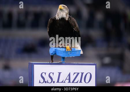 Rome, Italie. 23 novembre 2025. La nouvelle mascotte de la SS Lazio, l'aigle Flaminia, est présentée avant le match de football Serie A 2025/2026 entre la SS Lazio et l'US Lecce au Stadio Olimpico à Rome (Italie), le 23 novembre 2025. Crédit : Insidefoto/Alamy Live News Banque D'Images