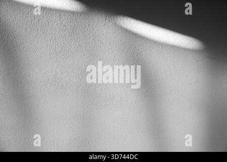 Un fond minimaliste avec une lumière naturelle et des ombres douces tombant sur un mur blanc texturé. L'image crée une esthétique propre et neutre su Banque D'Images