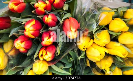Bouquets de tulipes jaunes et rouges à vendre. Fleuriste. Banque D'Images