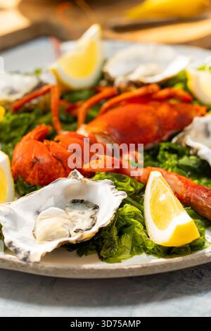 Plateau de fruits de mer avec homard cuit, huîtres fraîches et citron sur un lit d'algues vertes Banque D'Images