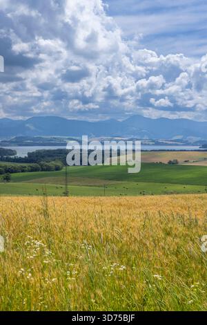 Golden wheat field leading to lake, hills, mountains, and summer sky in Slovakia Banque D'Images