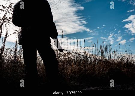 Silhouette d'une personne marchant à travers de hautes herbes sous un ciel bleu avec un chien en laisse. Une femme se silhouette contre un ciel lumineux, marchant à travers Banque D'Images