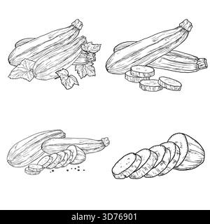 Courgettes et aubergines, entières et tranchées, ensemble de compositions. Illustration vectorielle. Légumes de ferme avec des feuilles isolées sur fond blanc. Cuisine, Illustration de Vecteur