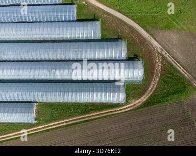 Une vue aérienne de haut en bas de longues serres en cerceau bordées de champs labourés et de chemins de terre qui se croisent. La géométrie met en évidence l'organisation et SC Banque D'Images
