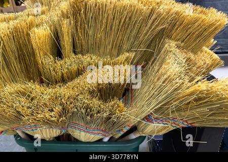 Une collection de balais stockés dans un récipient vert, mettant en valeur leurs poils de paille naturels et leurs bandes colorées. Ils sont organisés pour être efficaces Banque D'Images