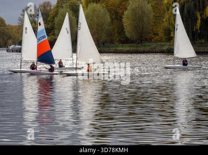 Laser (canots à voile) sur la Tamise à Kingston upon Thames, Londres, Angleterre Banque D'Images