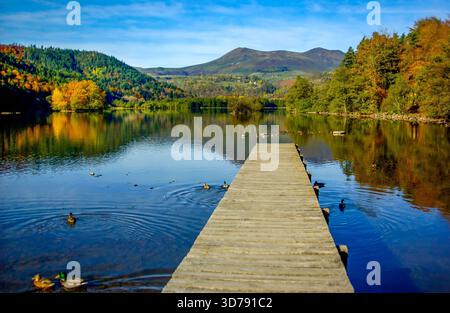 Vue sur le lac Chambon. Département du Puy de Dome. Parc national des volcans d'Auvergne. Auvergne Rhône Alpes. France Banque D'Images