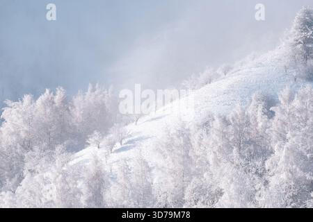 Une colline ou un flanc de montagne enneigé couvert de givre et de neige en hiver. Banque D'Images