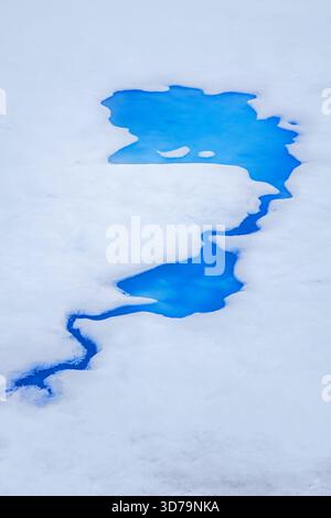 Vue aérienne sur l'eau bleu vif de l'étang de fonte / étang de fonte / bassin d'eau de fonte sur la glace de mer dans l'océan Arctique à Svalbard / Spitzberg, Norvège Banque D'Images