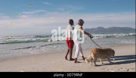 Marchant couple mature dans des vêtements légers le long de la plage de sable au rivage, avec Golden retriever en laisse Banque D'Images