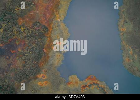 Prise de vue aérienne par drone d'un bord de lac sombre et sombre en automne. Le contraste aigu du littoral entre l'eau fraîche et la végétation colorée des zones humides crée un magnifique fond abstrait de nature. Banque D'Images
