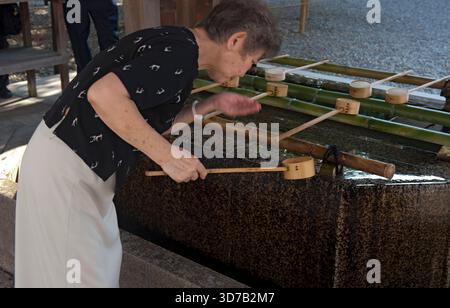 Temizuya, chozubachi ou chozuya est un bassin d'eau pour purifier les mains et la bouche avant d'entrer dans un sanctuaire shinto à Taga Taisha, Hikone, Japon. Banque D'Images