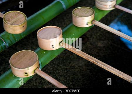 Temizuya, chozubachi ou chozuya est un bassin d'eau pour purifier les mains et la bouche avant d'entrer dans un sanctuaire shinto à Taga Taisha, Hikone, Japon. Banque D'Images