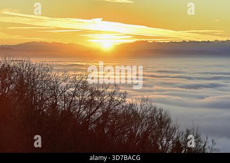Vue depuis la Gisiflue sur la mer de brouillard au lever du soleil, Talheim, Canton d'Argovie, Suisse Banque D'Images