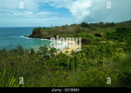 Kaua'i, Hawai'i, États-Unis — littoral tropical pittoresque avec un lagon calme, une plage de sable et une végétation luxuriante. Banque D'Images