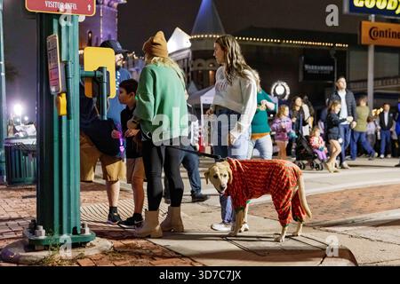 Grapevine, Texas, États-Unis. 23 novembre 2025. Grapevine, Texas ''" Nov. 24, 2025. Les visiteurs se rassemblent sur la rue principale historique pour la célébration annuelle du chant des lumières de la ville. Connue comme la capitale de Noël du Texas, Grapevine attire des milliers de personnes chaque saison des fêtes pour voir ses décorations élaborées et participer à des événements communautaires. (Crédit image : © Chris Rusanowsky/ZUMA Press Wire) USAGE ÉDITORIAL SEULEMENT ! Non destiné à UN USAGE commercial ! Banque D'Images