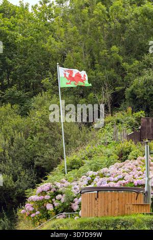 Fishguard, Pembrokeshire, pays de Galles, Royaume-Uni - 26 juillet 2025 : drapeau national du pays de Galles le Dragon Rouge, volant dans le jardin d'une maison. Banque D'Images