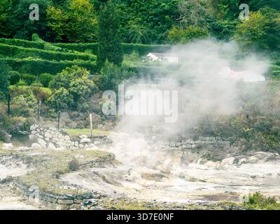 La vapeur géothermique épaisse s'élève des fumerolles à Furnas, São Miguel, Açores, entourées d'une végétation luxuriante. Un site volcanique unique sur l'isl portugais Banque D'Images