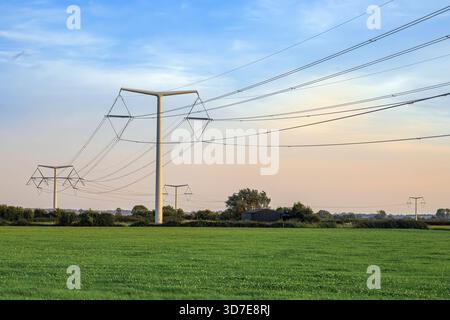 Range de pylônes T modernes portant des lignes à haute tension à travers les terres agricoles des Somerset Levels, en Angleterre, au soir Banque D'Images