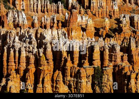 Magnifique formation de paysage dans le parc national de Bryce Canyon, dans le comté de Kane et le comté de Kane, dans le sud de l'Utah, aux États-Unis. Le parc a été nommé d'après Ebe Banque D'Images
