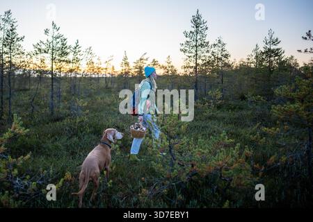 Femme trekking sentier forestier avec chien portant panier de récolte pendant la saison d'automne au crépuscule. Fourrage dans la forêt d'automne, randonnée après la chasse aux champignons, exploration en plein air en automne froid, promenade du propriétaire d'animaux || modèle libéré Banque D'Images