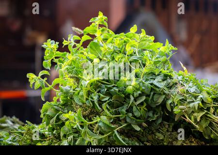 Menthe poivrée au marché aux fruits, Marrakech, Maroc. Menthe marocaine fraîche dans le marché de Marrakech, Maroc. Fond vert. Banque D'Images