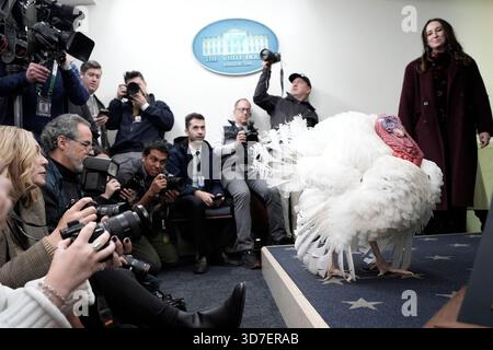 Washington, États-Unis. 25 novembre 2025. Actualités des photographes prennent des photos de la Turquie de Thanksgiving National dans la salle de briefing avant la cérémonie de grâce du président Donald Trump à la Maison Blanche à Washington le 25 novembre 2025. Photo de Yuri Gripas/ABACAPRESS.COM crédit : Abaca Press/Alamy Live News Banque D'Images