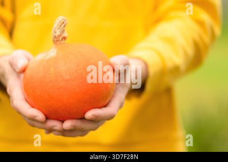 Gros plan de citrouille dans les mains mâles à la ferme. Symbole de la récolte d'automne, de la vie rurale, de l'agriculture biologique, des recettes faites maison et une alimentation saine naturelle. Banque D'Images