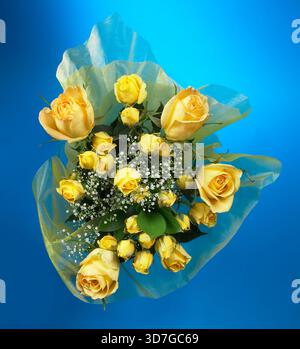 Vue aérienne du bouquet de fleurs arrangement floral, USA Banque D'Images