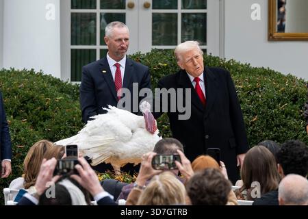 Washington, DC, États-Unis. 25 novembre 2025. Le président des États-Unis Donald J Trump, à droite, participe à la cérémonie nationale de grâce des dindes dans la roseraie de la Maison Blanche à Washington, DC, USA, le mardi 25 novembre, 2025. crédit : Mattie Neretin/CNP/dpa/Alamy Live News Banque D'Images