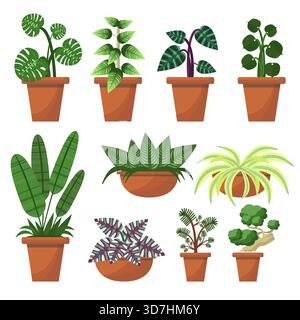 Plante dans la collection de pots en terre cuite sur fond blanc. Illustration de Vecteur