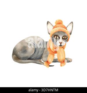 Chat sans poils Sphynx est assis ou est couché. Animal de compagnie avec la peau chauve. Jolie chatte grise avec de grandes oreilles et des yeux jaunes. Illustration isolée à l'aquarelle de Banque D'Images