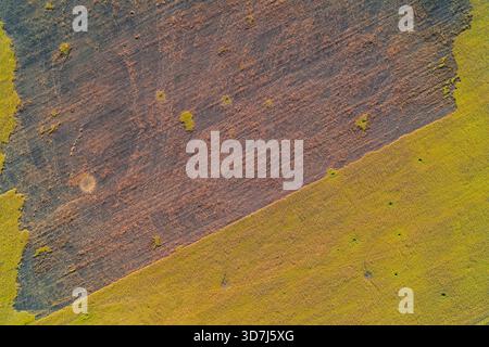 Composition abstraite aérienne définie par une limite diagonale nette entre un champ brûlé foncé et une culture verte vibrante. Le contraste géométrique extrême illustre la division des terres et les changements environnementaux Banque D'Images