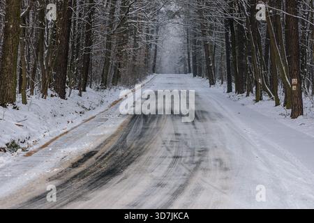 Route couverte de neige en hiver dans le village de Rogow à Lodzkie Voivodeship, en Pologne Banque D'Images