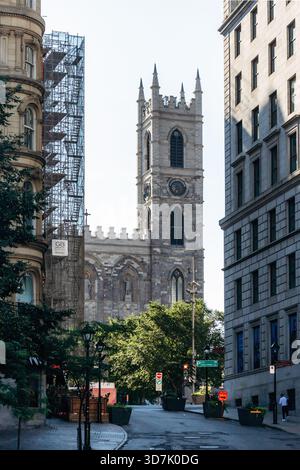 Montréal, Canada - 12 août 2025 : Basilique notre-Dame dans le Vieux-Montréal, vue sur le centre-ville Banque D'Images