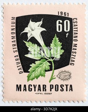 Heilpflanze als Briefmarkenmotiv, Datura stramonium, Stechapfel, Ungarn 1f-4880056 Banque D'Images