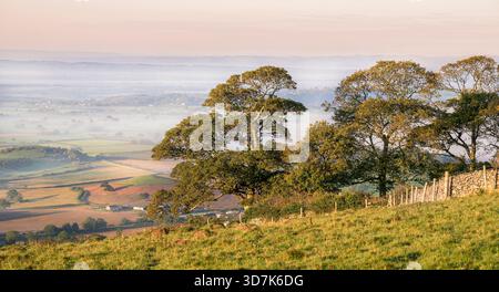 Brume basse et soleil tôt le matin au-dessus des niveaux du Somerset, vu de Deer Leap sur les collines de Mendip, en Angleterre Banque D'Images