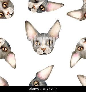 Motif sans couture de tête d'animal de chat Sphinx. Chaton sans poils Sphynx, peau chauve, ornement domestique de répétition d'animal de compagnie gris mignon, fond. Aquarelle isolée Banque D'Images
